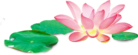 長(zhǎng)沙沁園灌溉有限公司_湖南農(nóng)業(yè)水肥一體化灌溉|湖南別墅庭院智能灌溉