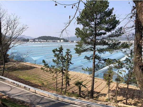 湖南農(nóng)業(yè)水肥一體化灌溉,湖南別墅庭院智能灌溉,長(zhǎng)沙沁園灌溉有限公司,湖南足球場(chǎng)噴灌,長(zhǎng)沙足球場(chǎng)噴灌,足球場(chǎng)噴灌,足球場(chǎng)灌溉,長(zhǎng)沙足球場(chǎng)灌溉,湖南足球場(chǎng)灌溉
